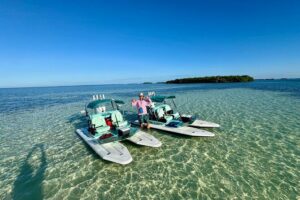 2 Hour Key West Mini Catamaran Eco Tour - Stop 1: mangrove channels where birds and calm water do the talking