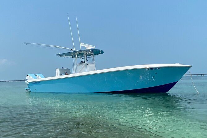 3 Hour Private Snorkeling in Marathon Florida - Private 3-hour snorkeling in Marathon: what you’re really paying for