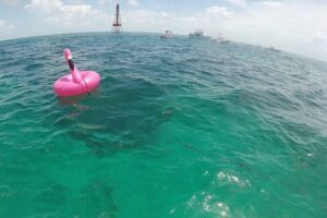 3 Hour Private Snorkeling in Marathon Florida - Getting to the boat: pickup timing and how the day starts