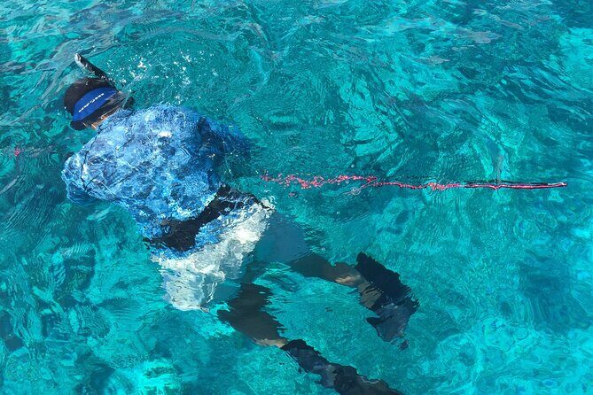 3 Hour Private Snorkeling in Marathon Florida - The 3-hour flow: snorkeling first, extras if there’s time
