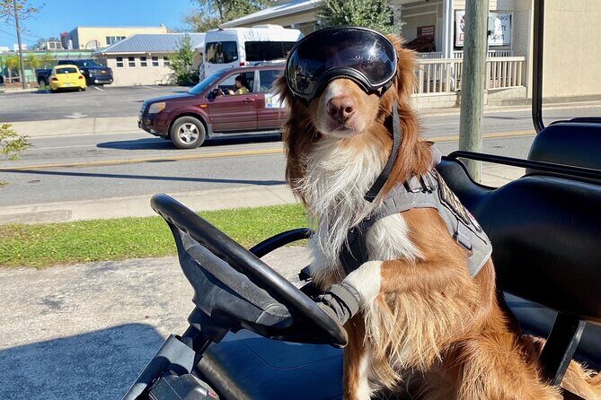 6 Passenger Golf Cart Rental in Key West - Building Your One-Day Loop: Duval Street, Beaches, Marinas, Forts