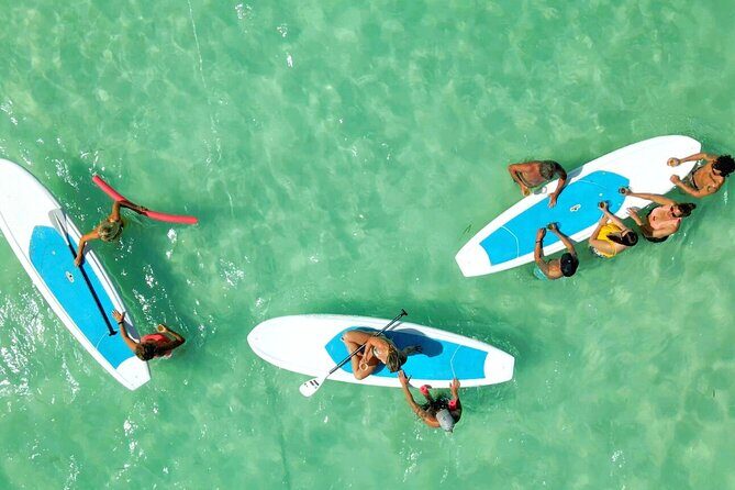 All-Inclusive Sandbar Safari with Dolphin Playground Encounter - Food that keeps the day from turning into a snack mission