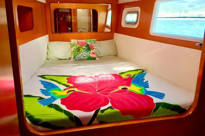 Bimini Charters - Private 3hr Catamaran Charters, Sail & Snorkel - Practical Tips for a Smooth Day on the Water