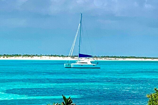 Bimini Charters - Private 3hr Catamaran Charters, Sail & Snorkel - Should You Book Bimini Charters for a Key West Sail and Snorkel?
