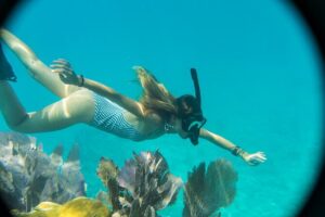 Biologist Owned & Operated: Dolphin Watching & Guided Snorkeling - Dolphin Watching in the Wild: What You Really Do Out on the Water