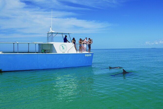Biologist Owned & Operated: Dolphin Watching & Guided Snorkeling - Price and Value: How $143.05 Makes Sense for a Guided Eco Day