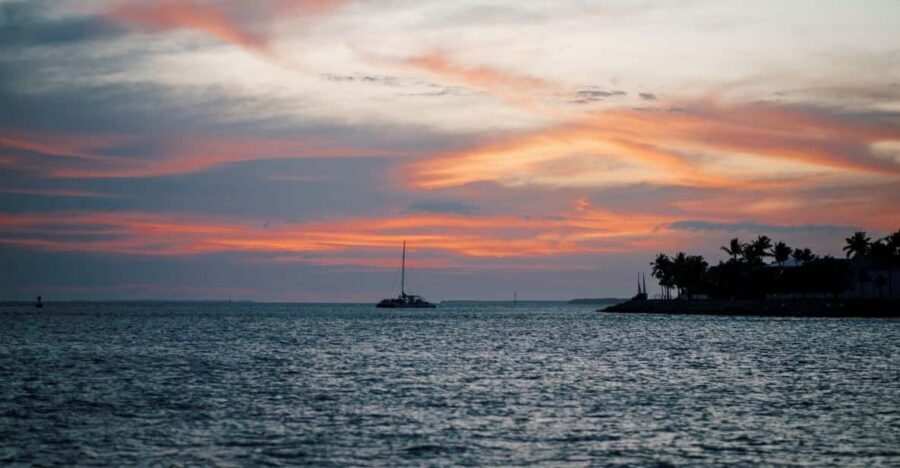 Captain's Choice: Dolphin Watch Sunset Sail - My booking verdict: should you book Dolphin Watch Sunset Sail?