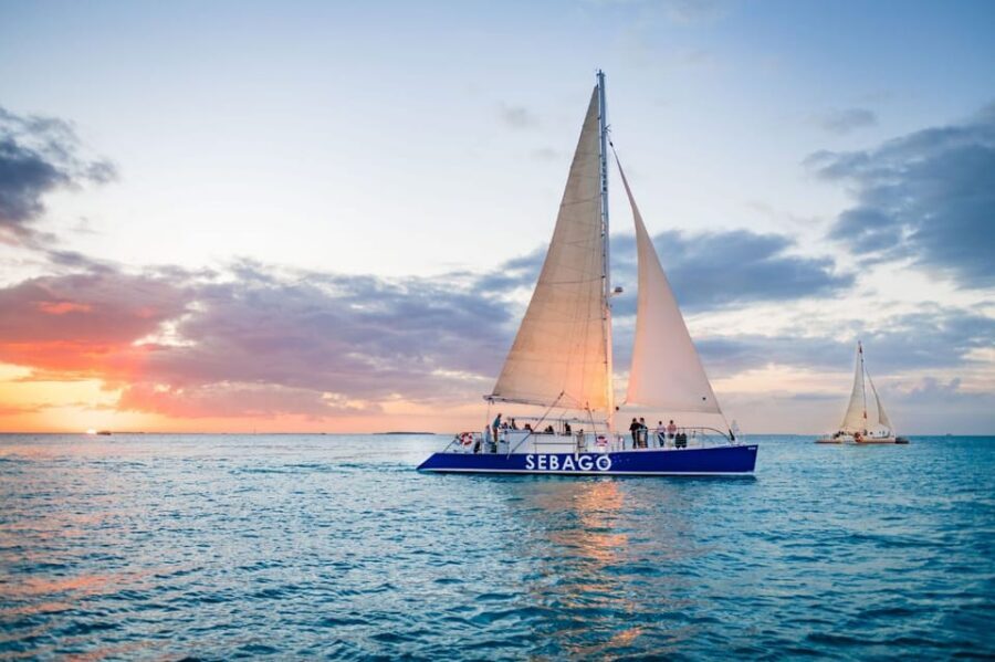 Captain's Choice: Dolphin Watch Sunset Sail - Why this dolphin watch feels different from a standard boat ride