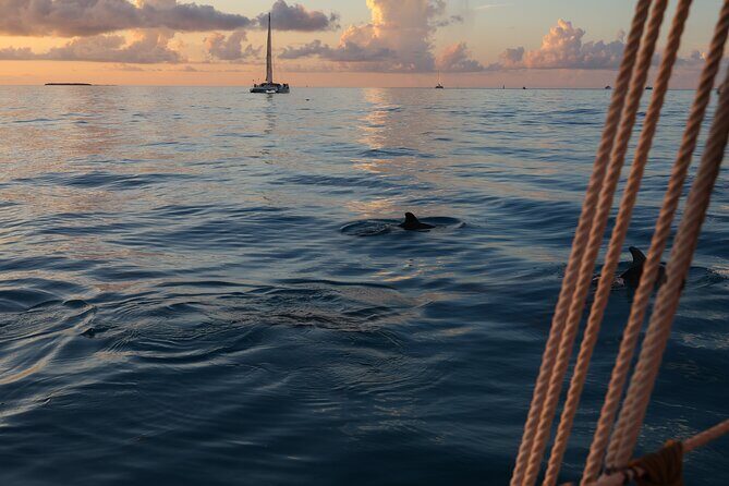 Classic Key West Schooner Sunset Sail with Full Open Bar - Open-Bar Value on a Small Schooner: What You’re Really Buying