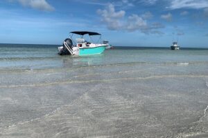 Custom Charters with a Local Captain - Price and value: what $250 per person buys you (and why it can be worth it)