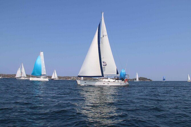 Day Sailing Adventure in the Florida Marine Sanctuary - A small-group sail from Marathon that stays relaxed
