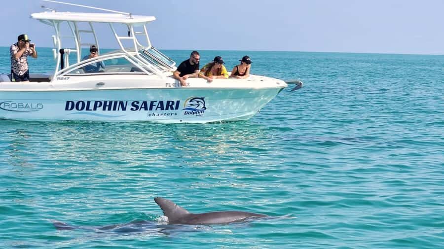Dolphin & Snorkeling Key West - Why This Dolphin and Snorkel Plan Works in Key West