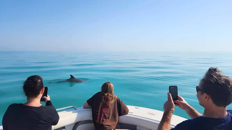 Dolphin & Snorkeling Key West - Meeting at Salty Oyster Dockside: Your First “Key West” Moment