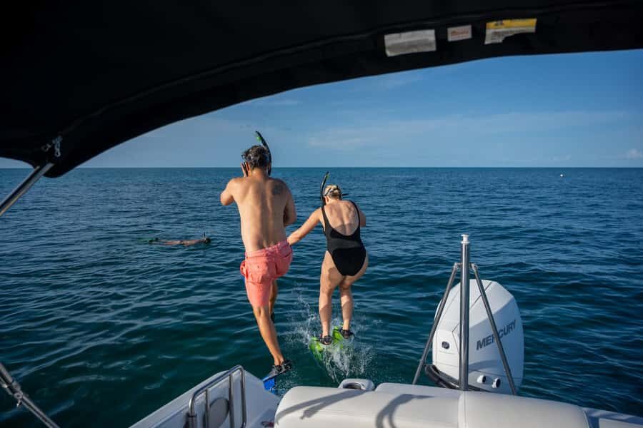 Dolphin & Snorkeling Key West - Dolphin Spotting in the Gulf: Wild Watching Without the Rush