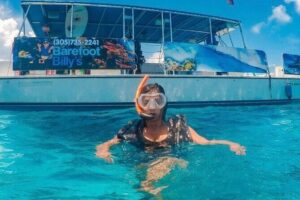 Dolphin Watching and Snorkeling Adventure in Key West - Your Seabreeze Catamaran: Comfort First, Then Wildlife