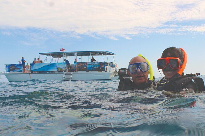 Dolphin Watching and Snorkeling Adventure in Key West - Snorkel Stop 1: The Archer Key Artificial Reef