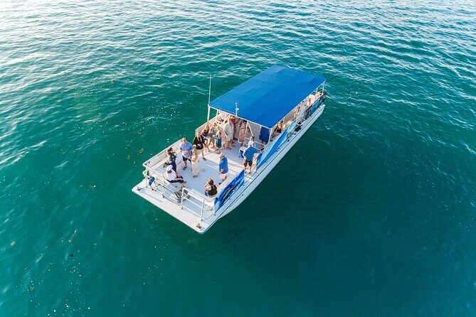 Dolphin Watching and Snorkeling Adventure in Key West - Timing, Meeting Point, and How to Plan Your Afternoon