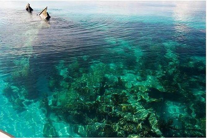 Dry Tortugas National Park Day Trip by Catamaran from Key West - Key highlights that make this day trip worth your time
