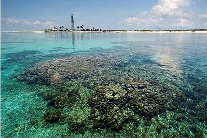 Dry Tortugas National Park Day Trip by Catamaran from Key West - Snorkeling the coral reef: the best part for many people