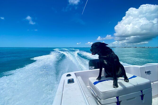 Explore the Waters of Key West - The 4-hour route around Key West: Florida Keys, Sand Key Reef, Boca Grande, Western Dry Rocks