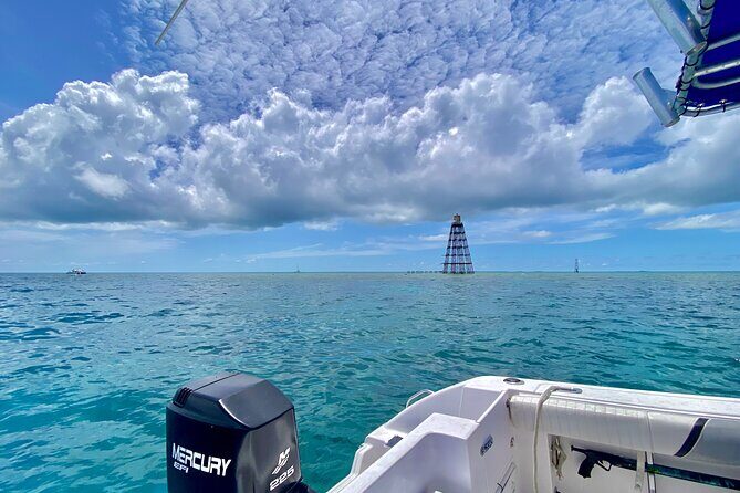 Explore the Waters of Key West - Captain-led spotting: what the crew teaches while you cruise