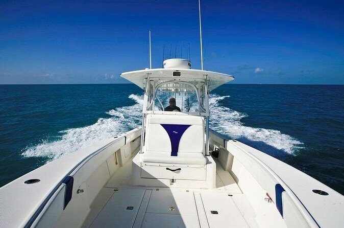 Fishing Charters in Key West Florida - What the Four Hours Actually Feel Like on the Water