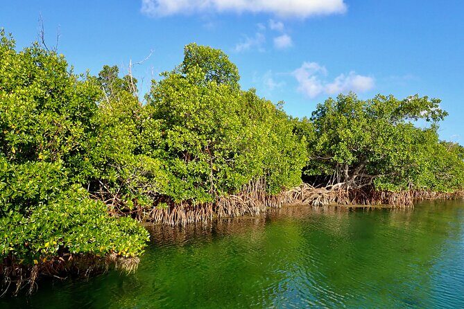 Florida Keys Backcountry Eco Tour from Big Pine Key - Key things to know before you go