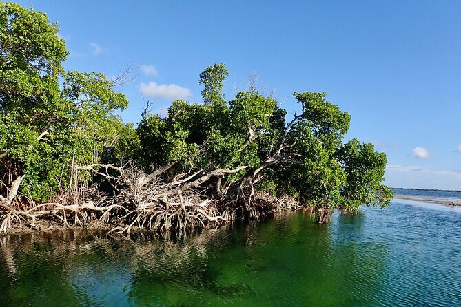 Florida Keys Backcountry Eco Tour from Big Pine Key - Why this Big Pine Key eco tour feels so different