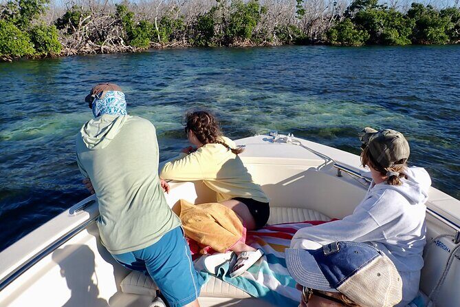 Florida Keys Backcountry Eco Tour from Big Pine Key - Price and value: Is $425 per group fair?