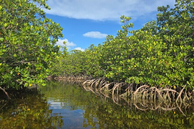 Florida Keys Kayak And Paddleboard Rentals - Key things to know before you go