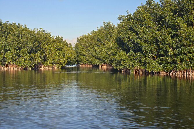 Florida Keys Kayak And Paddleboard Rentals - Geiger Key Paddle Hut: where your 2-hour water time starts