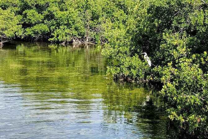 Florida Keys Kayak And Paddleboard Rentals - Comfort, parking, and the small stuff that saves your day