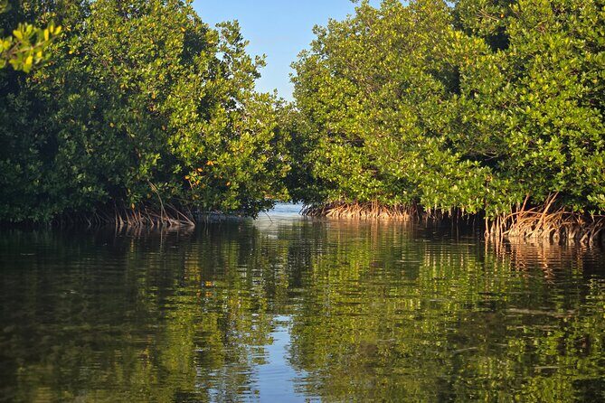 Florida Keys Kayak And Paddleboard Rentals - Who this is best for (and who should think twice)