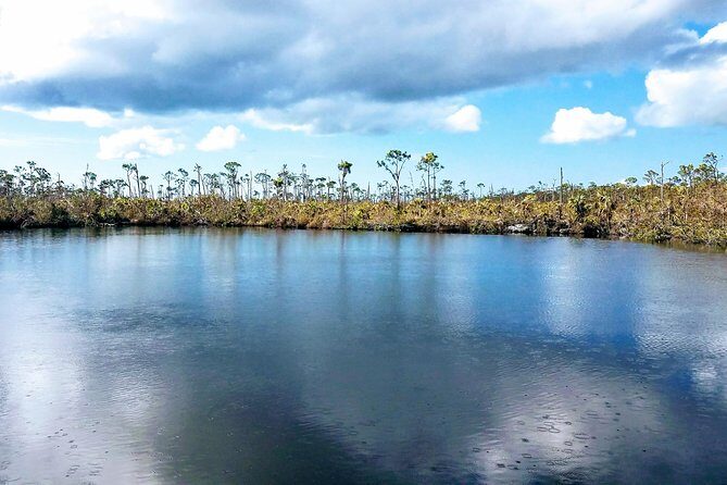 Florida Keys Nature & History Tour from Key West - Logistics That Matter: Timing, Weather, and Where You Walk