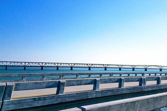 Florida Keys Nature & History Tour from Key West - Who Should Book This Tour (And Who Might Skip It)