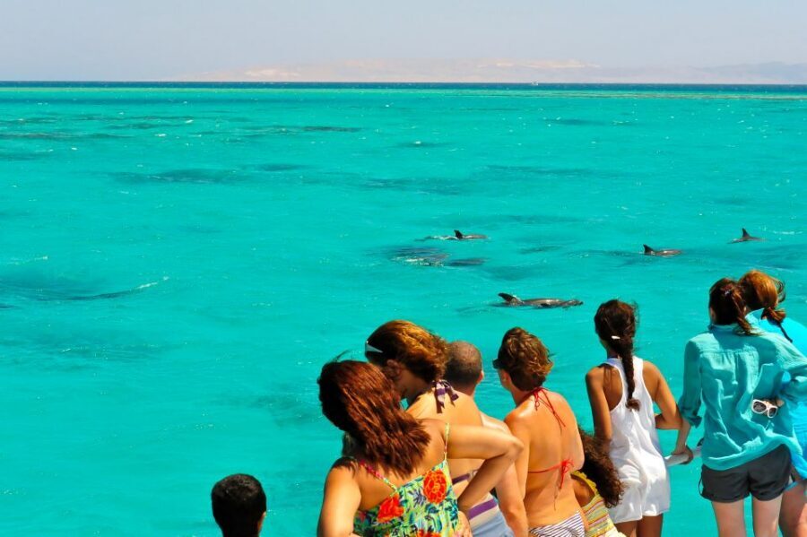 From Key West: Dolphin Watching Tour with Lunch & Drinks - Why This Key West Dolphin Watching Tour Feels Like Two Great Stops