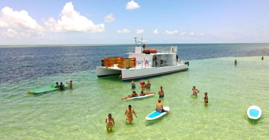 From Key West: Dolphin Watching Tour with Lunch & Drinks - Sandbar Time: The Real Reason People Book This Tour