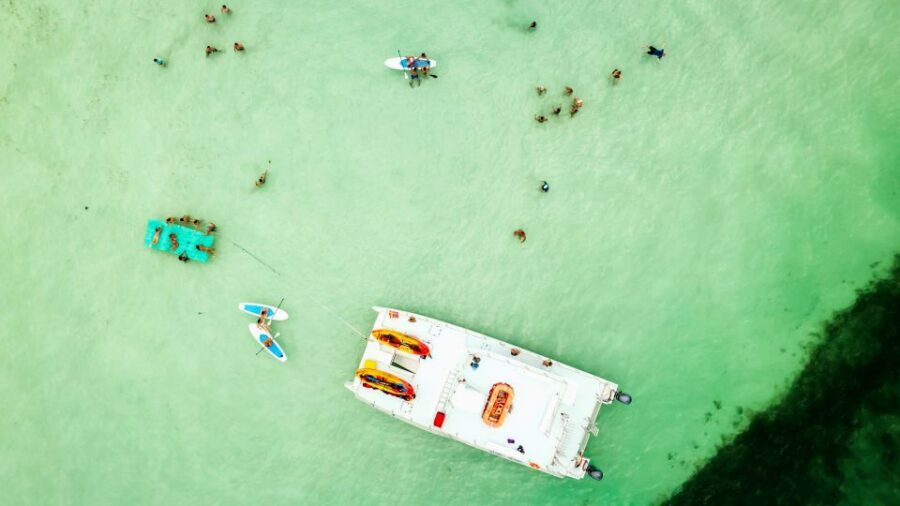 From Key West: Dolphin Watching Tour with Lunch & Drinks - Lunch On Board: Cuban Sandwiches, Chicken Tenders, and Veg Options