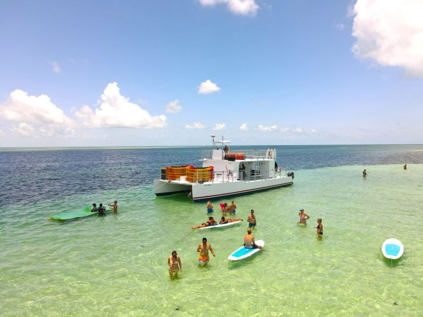 From Key West: Dolphin Watching Tour with Lunch & Drinks - The Cruise Out: Gulf of Mexico Views and Unlimited Draft Drinks