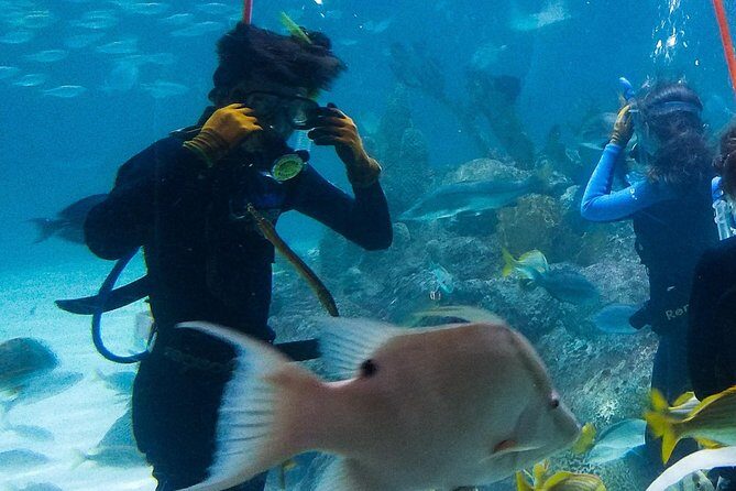 Full-Day Tour of Florida Keys Including Aquarium Encounters from Key West - Florida Keys Aquarium Encounters: animal encounters and a lot of tank time
