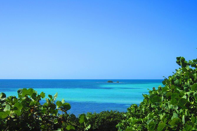 Full-Day Tour of Florida Keys Including Aquarium Encounters from Key West - Why the guides make the day: air-conditioned comfort plus a human pace