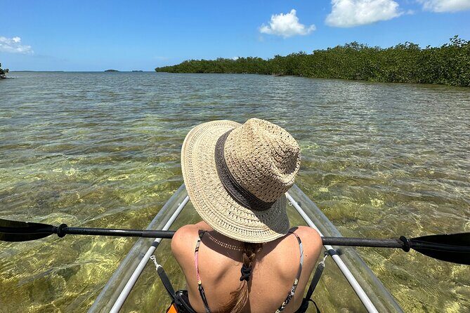 Guided Clear Kayak Eco-Tour Near Key West - Key things to know before you paddle clear water