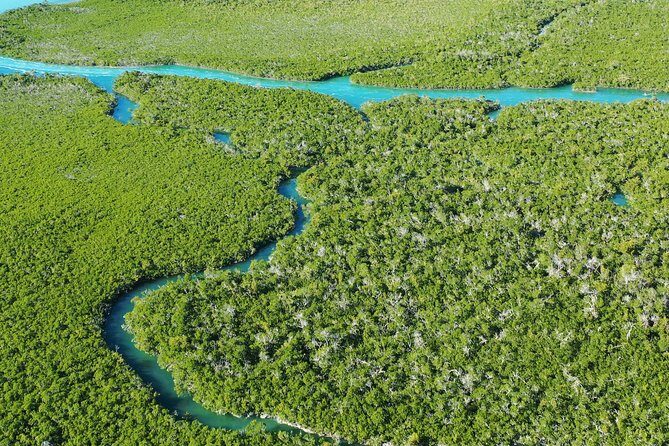 Guided Clear Kayak Eco-Tour Near Key West - What’s included (and what you’ll bring yourself)