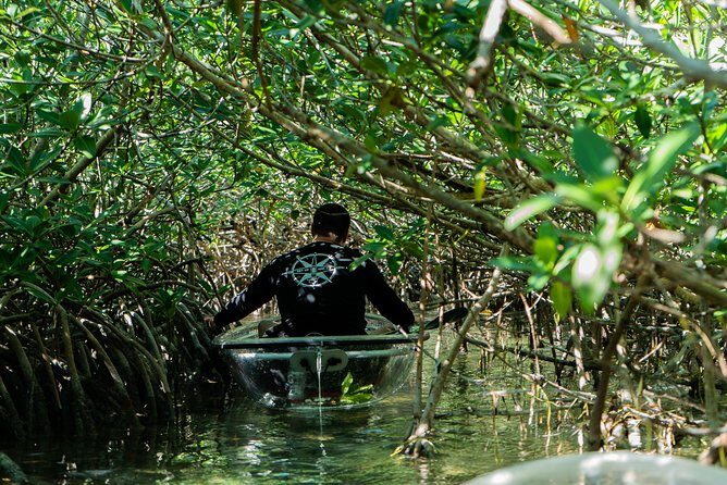 Guided Clear Kayak Eco-Tour Near Key West - The workout factor: calm water, real effort