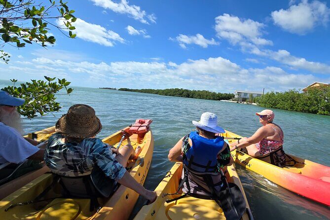 Guided Mangrove Eco Tours Kayak or Paddleboard Adventure - Your Guide (Kristen) Sets a Relaxed Tone and Keeps It Interactive