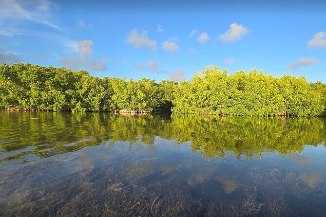Guided Mangrove Eco Tours Kayak or Paddleboard Adventure - The Route Feature: Florida Keys National Marine Sanctuary Stop 1