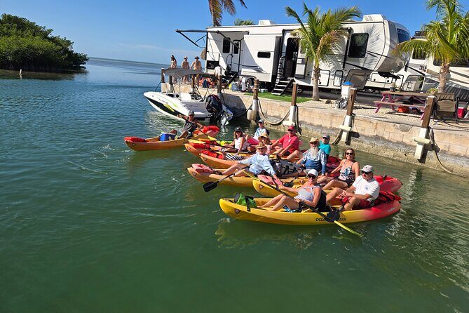 Guided Mangrove Eco Tours Kayak or Paddleboard Adventure - What Happens on the Water: Breaks, Questions, and Creature Spotting Moments