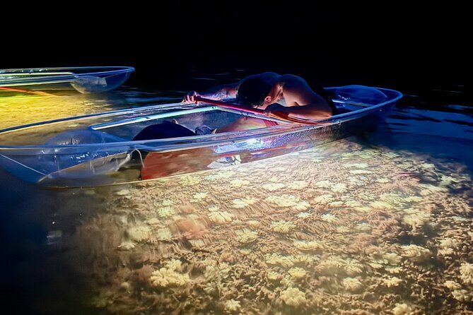 Guided Night Kayak Adventure Tour in Luminous Lagoon - Key Highlights You’ll Want to Know