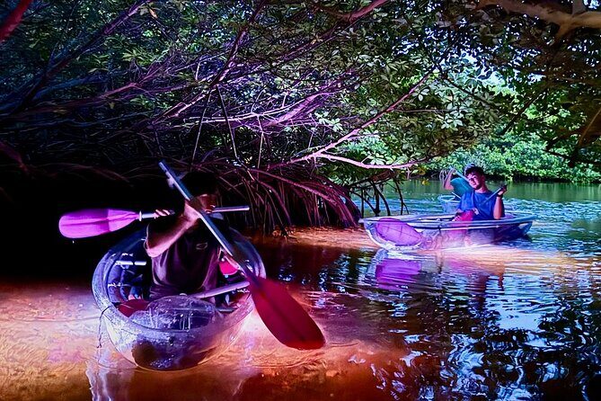 Guided Night Kayak Adventure Tour in Luminous Lagoon - Price, Time, and Group Size: Is It Worth $89.95?