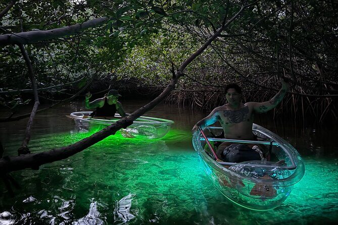 Guided Night Kayak Adventure Tour in Luminous Lagoon - What You’ll See Under the Lights (And Why the Glow Can Vary)